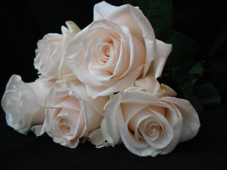 a bouquet of white roses on a black background