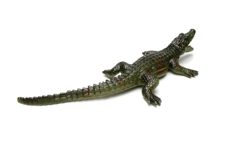 a small alligator is laying down on the ground