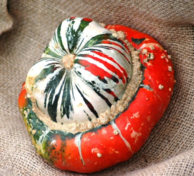 a tomato with several plants painted on it