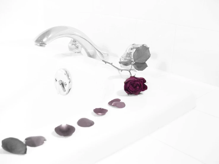 a rose is sitting in the bathtub with four drops