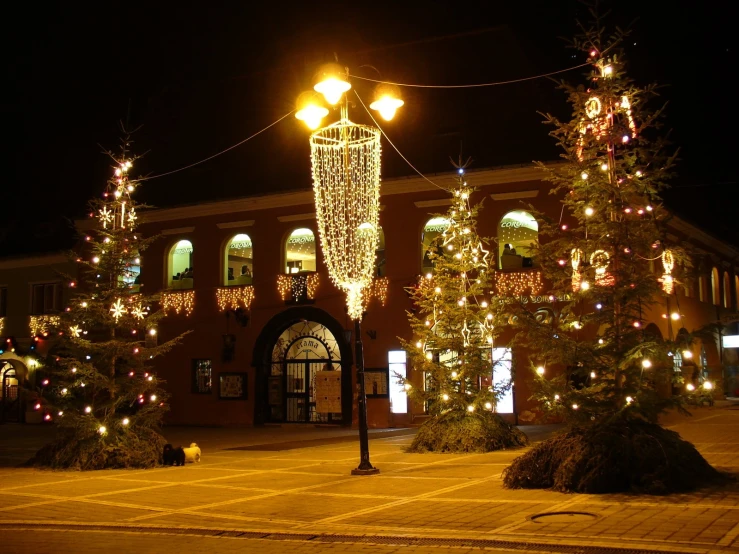 lighted trees with christmas lights around them on the corner of a street