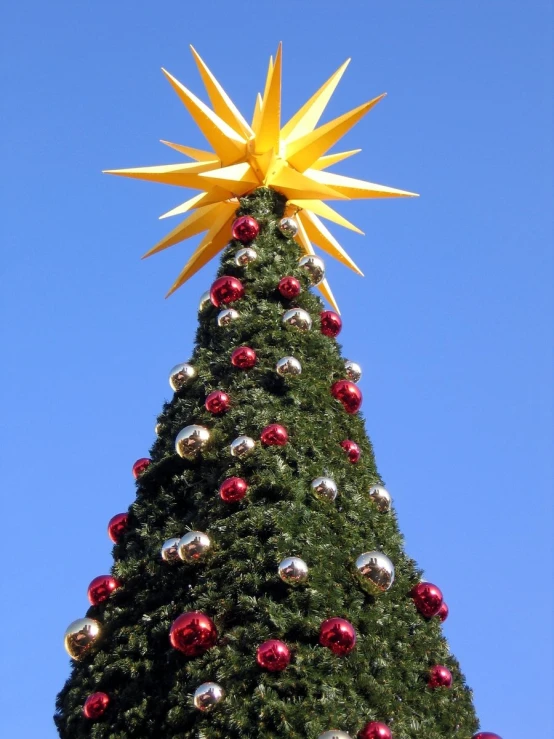 christmas decorations and ornaments stand next to a fir tree