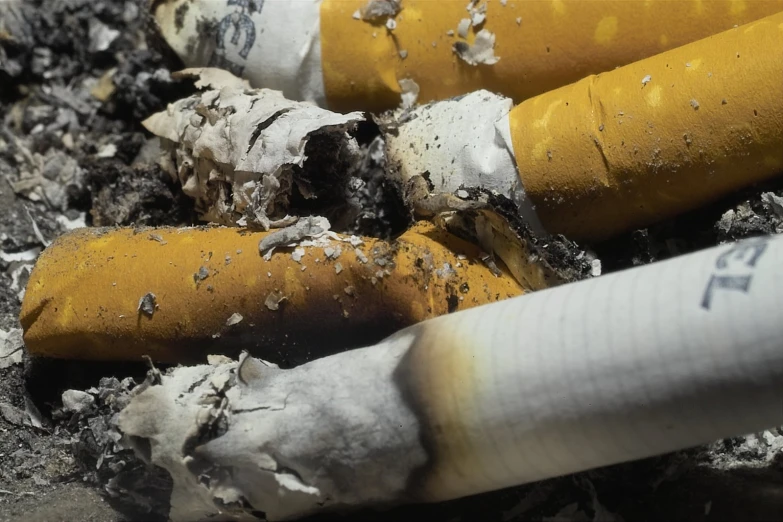 a close - up of cigarettes and ash