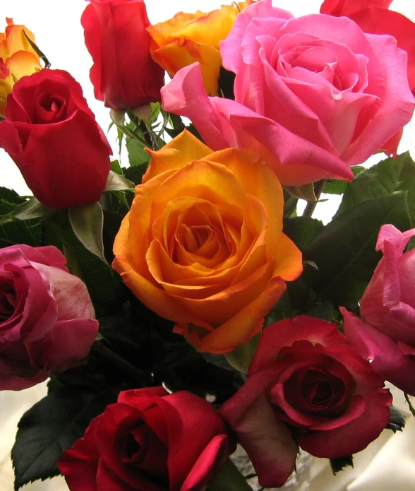 multicolored roses on top of each other