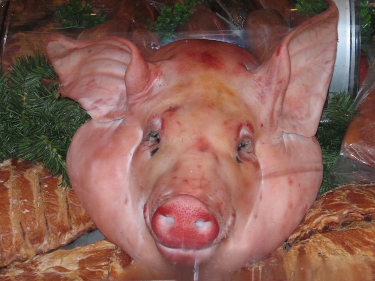 pig head in front of a bunch of pastry
