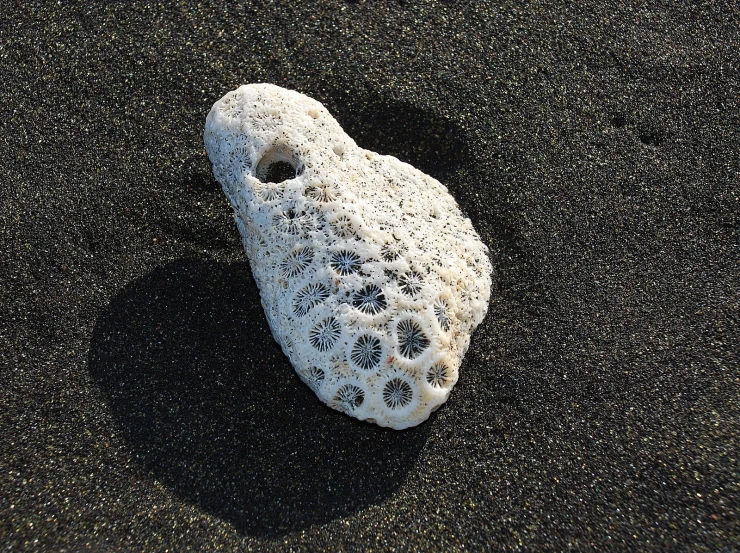 some kind of small rock that is in the sand