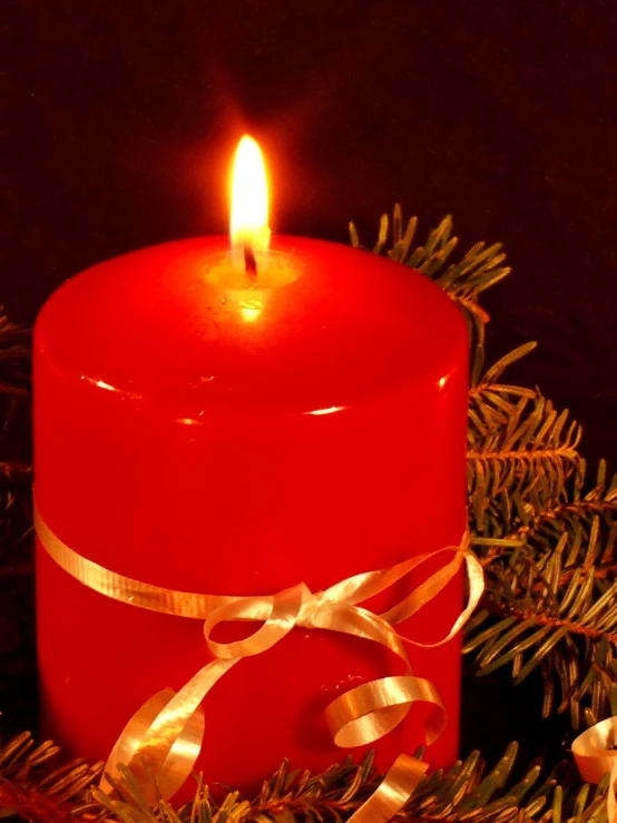 a lit candle is surrounded by fir nches