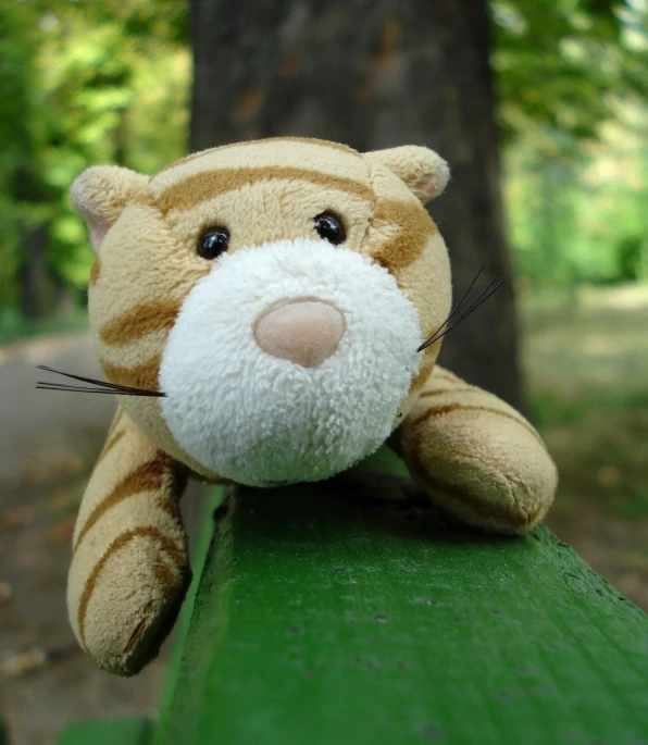 a close up view of a stuffed animal on a park bench