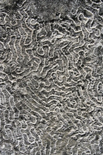 textured carpet in dark grey tones