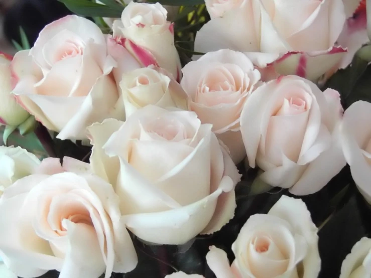 white roses and some leaves arranged on a table