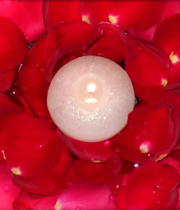 a candle is sitting in a rose bush