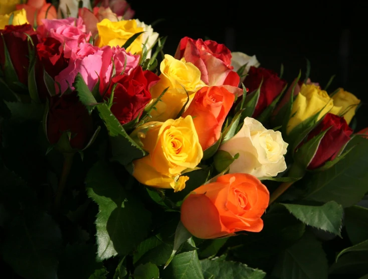 the long stems of multi colored flowers are arranged on the table