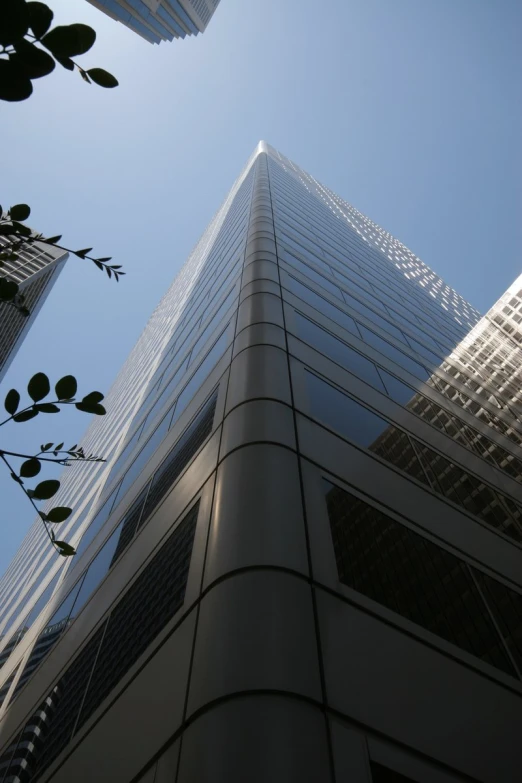 looking up at two tall buildings with leaves on them