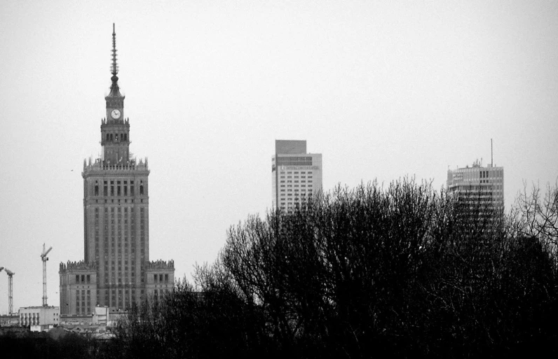 tall building next to trees and sky with sky in background