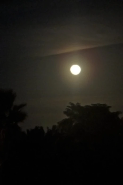 the moon is above the trees on a night time