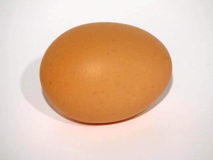an egg is laying on a table with a white background