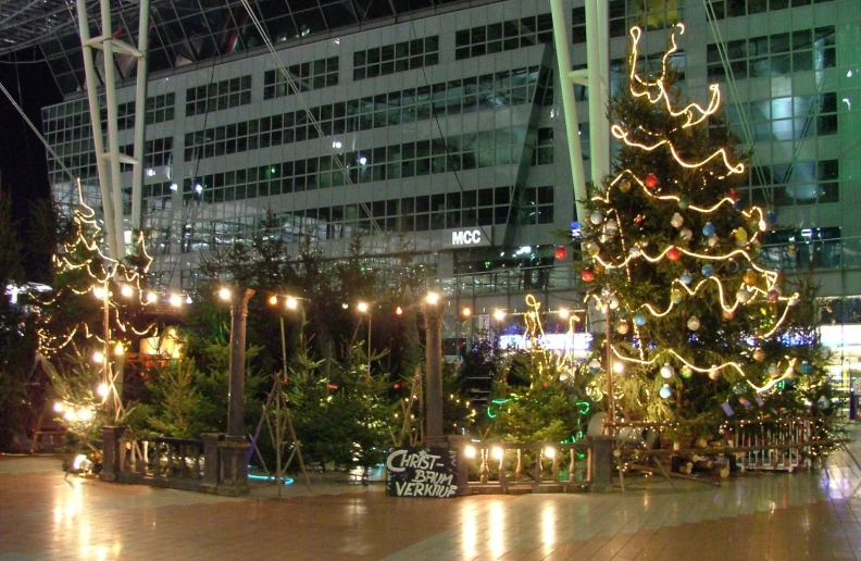 a building and lights are around the christmas tree