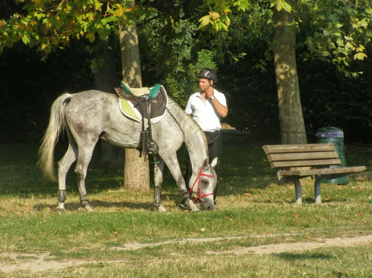 a horse and rider are standing beside each other