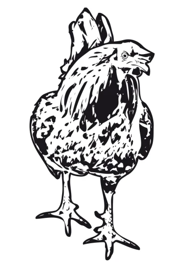a black and white drawing of a chicken