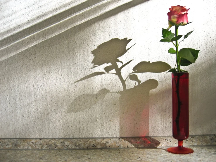 the rose is in the red vase on the ledge