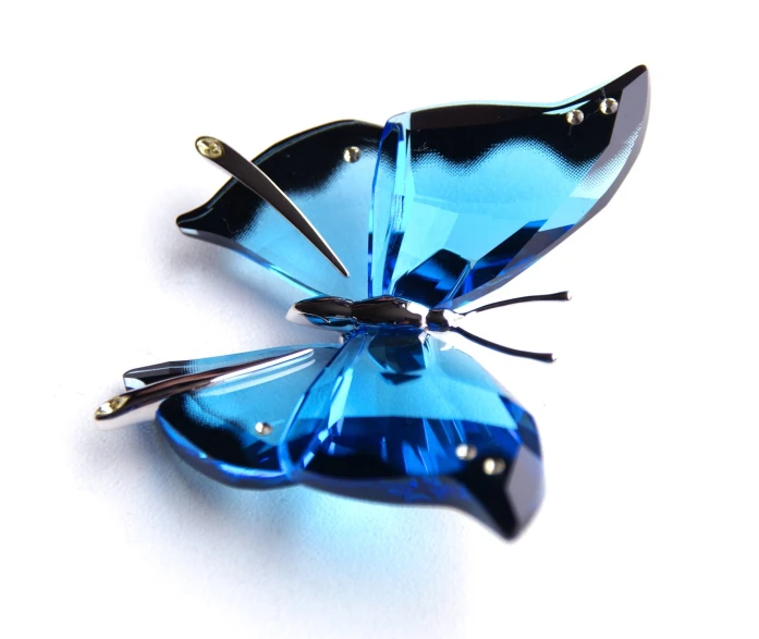 a blue erfly is on a white surface