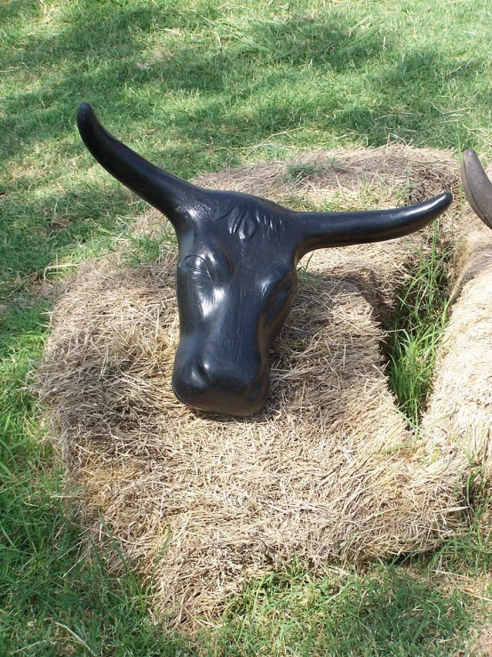 two animal heads in hay are posed together
