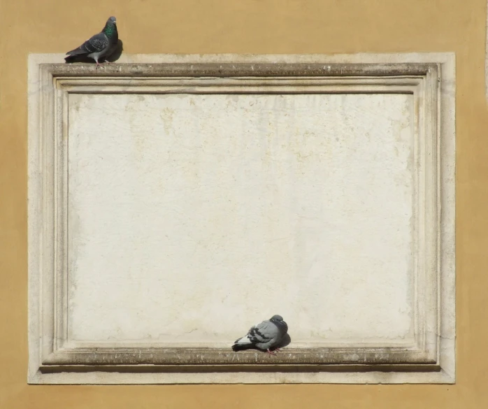 two pigeons are sitting in a window sill