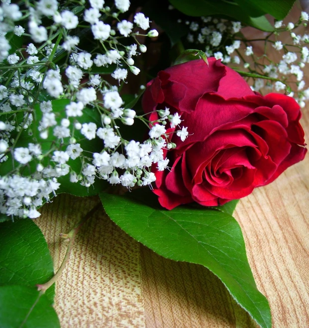 a red rose and baby's breath flowers on a table