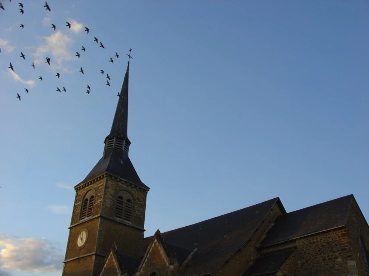 an image of a flock of birds flying near church