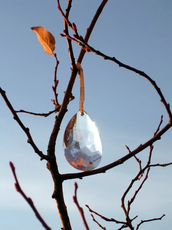 a hanging ornament hanging from a tree nch