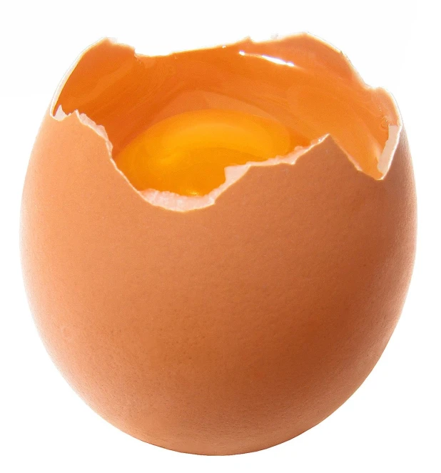 a large egg shell with an orange juice inside