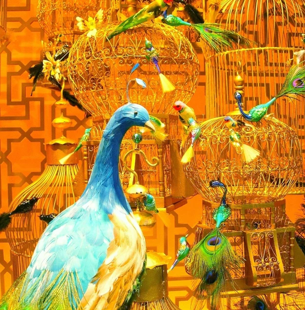 a colorful peacock is standing in front of a cage filled with birds