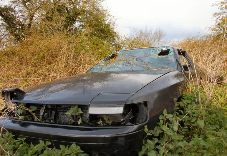 a car has been crashed through the weeds