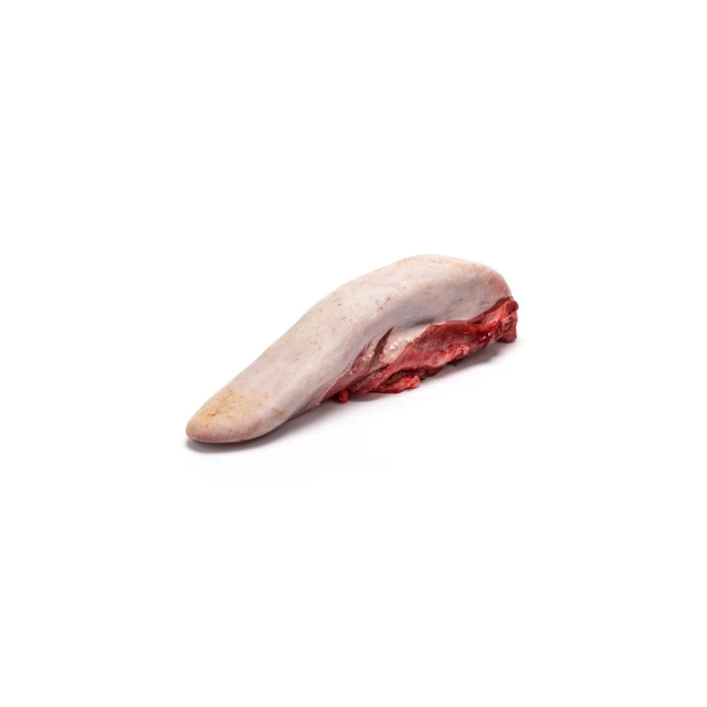 some meats are laying on the ground against the white background