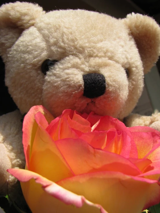 the teddy bear is sniffing the flower outside