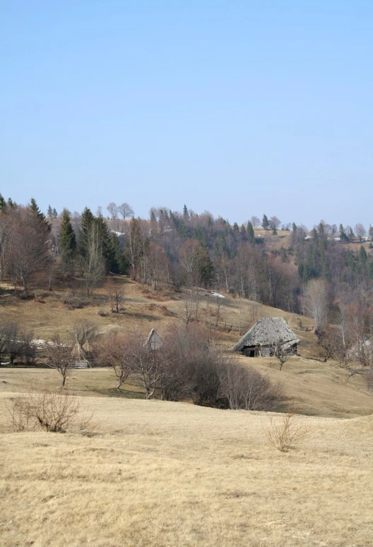 a rural landscape has some very small trees