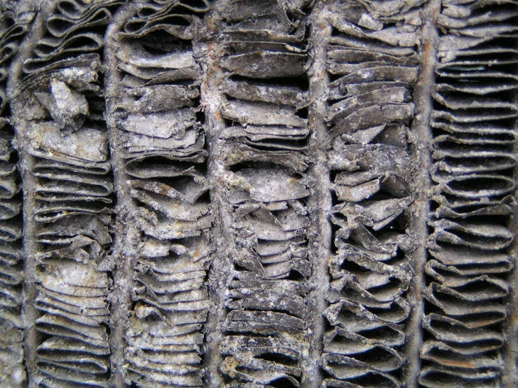 several large black and white stacked stones on the same wall