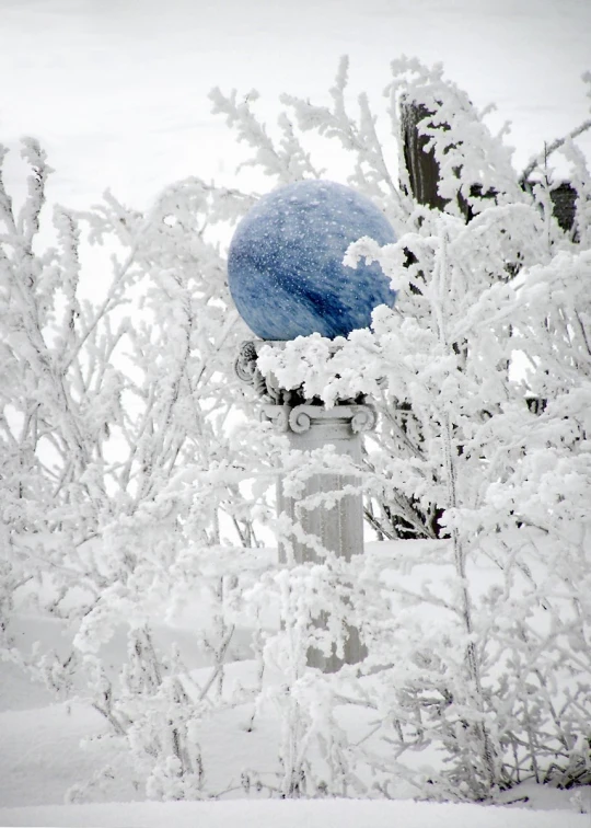 an over head picture of some snowy trees and bushes