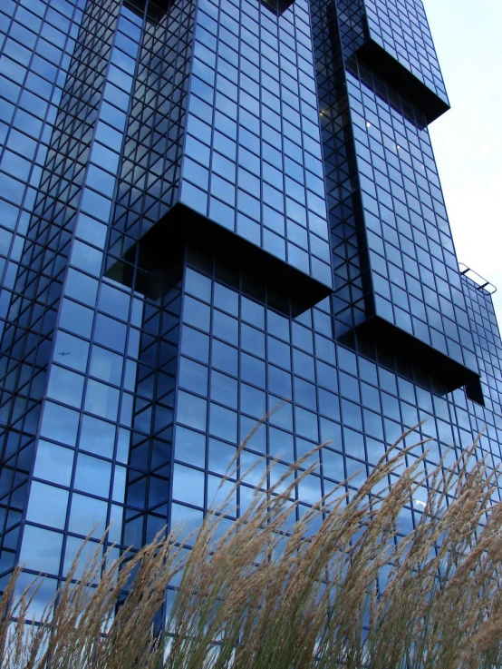 a tall building in a city with grass around it