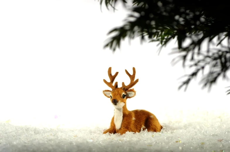 a fawn laying in the snow between some nches