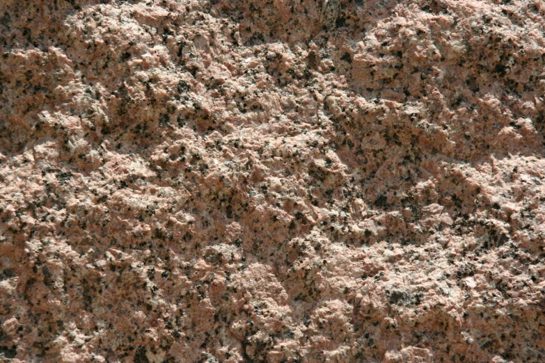 a closeup image of sand textured with small brown bubbles