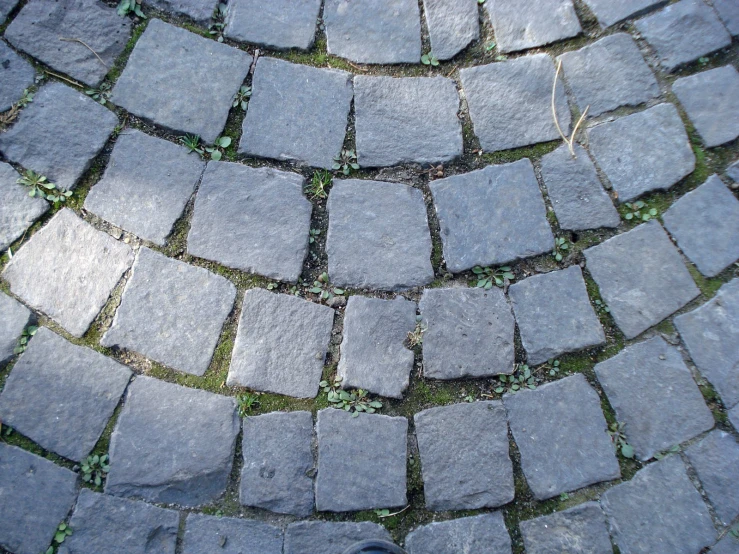 the cobblestones in this old street are hard to find