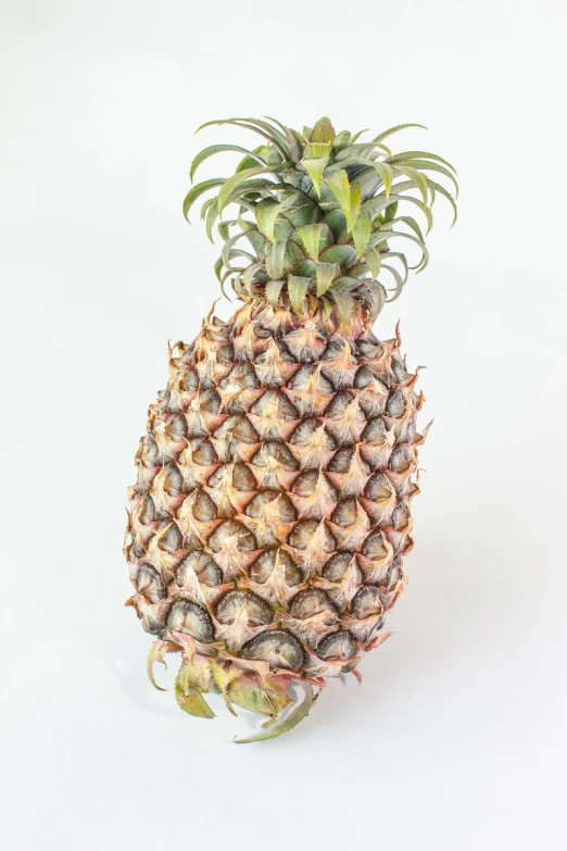 the pineapple sits on a white surface