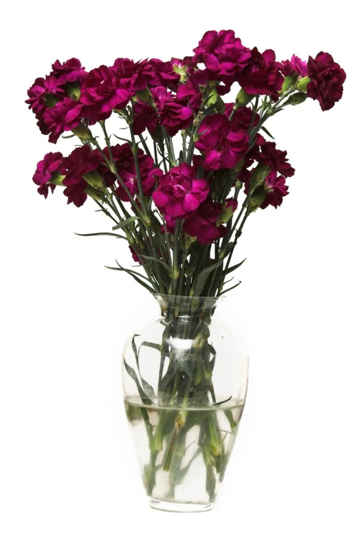 a clear vase filled with red flowers sitting on top of a table