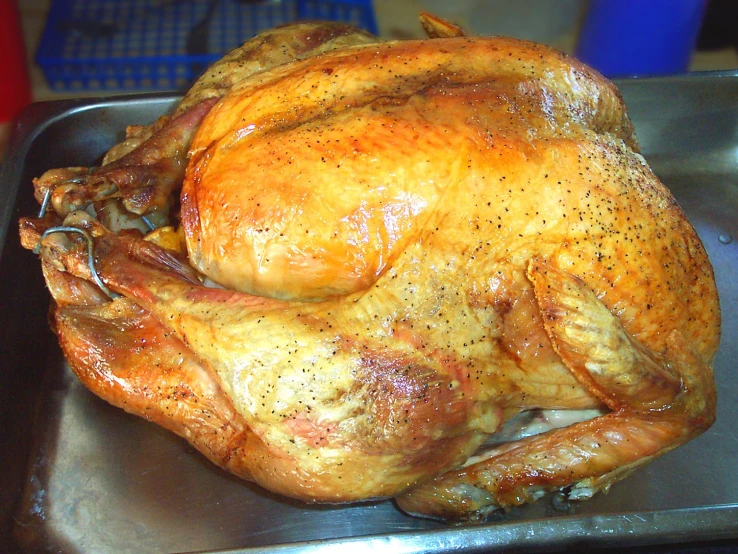 a turkey is cooked in an oven on a plate