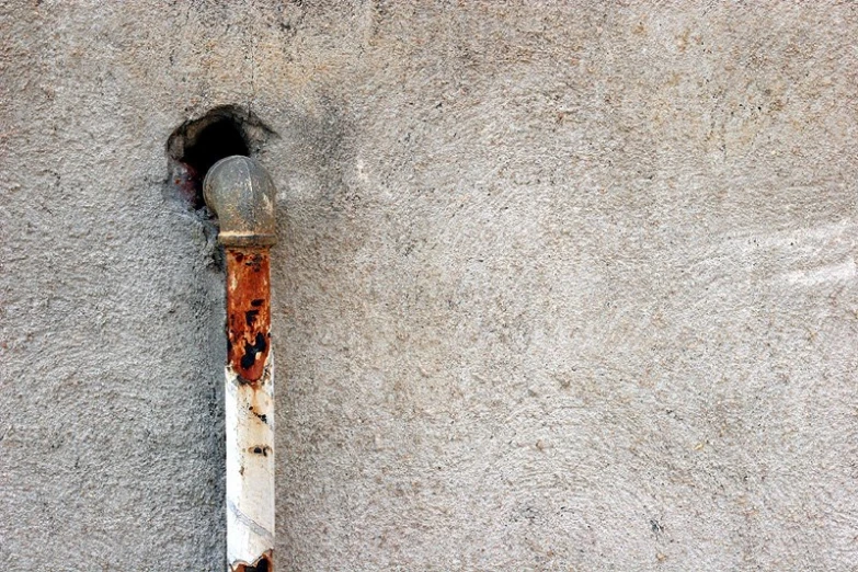 there is a bat lying on a wall with graffiti