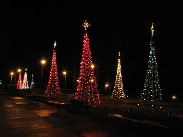 illuminated trees sitting in the middle of a road