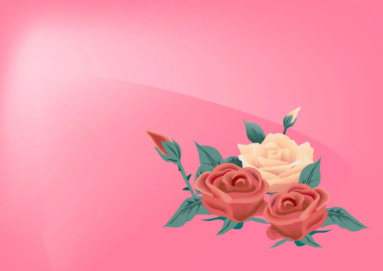 a bunch of roses on a pink background