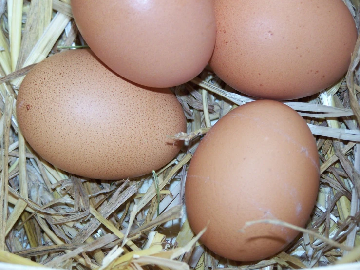 three brown eggs sit in hay in a basket