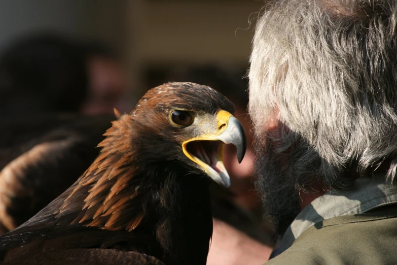 a bird standing in front of a person with a beard